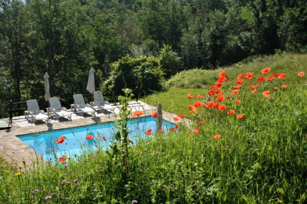 Casa Domenica - Home&More Monastero Bormida Exterior photo